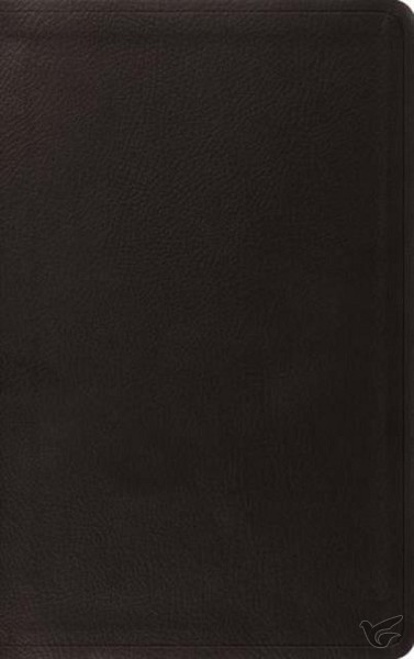 Productafbeelding: voorkant van ESV - Value Thinline Bible