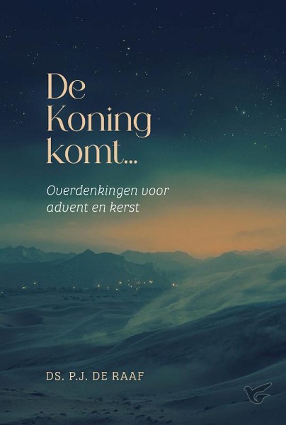 Productafbeelding: voorkant van De Koning komt...