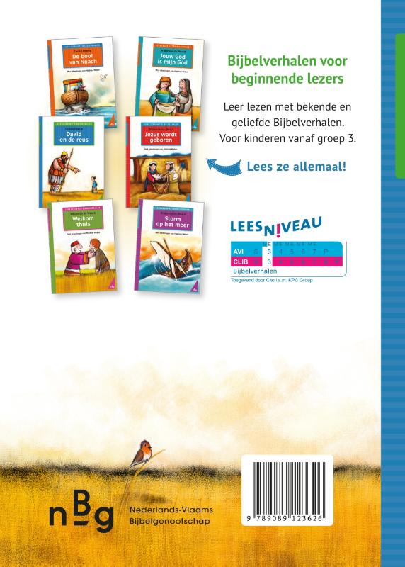 Productafbeelding: achterkant van David en de reus