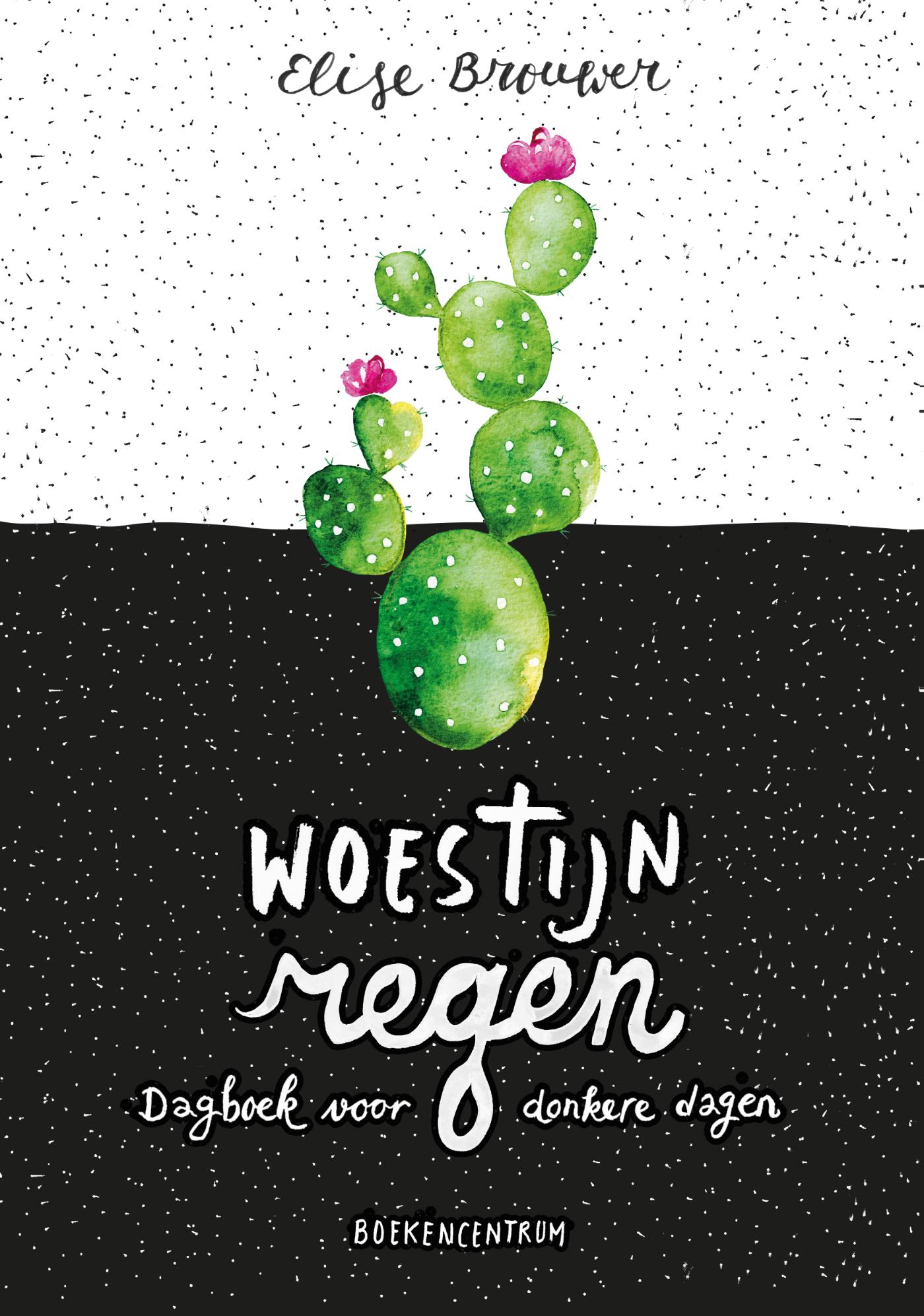 Productafbeelding: voorkant van Woestijnregen