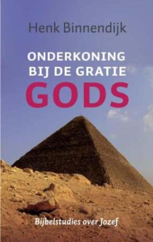Productafbeelding: voorkant van Onderkoning bij de gratie Gods