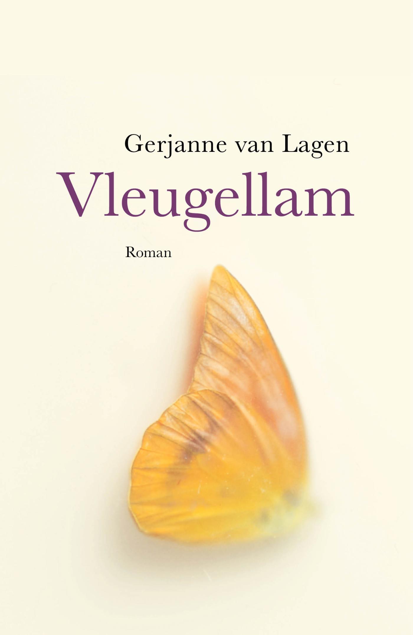 Productafbeelding: voorkant van Vleugellam