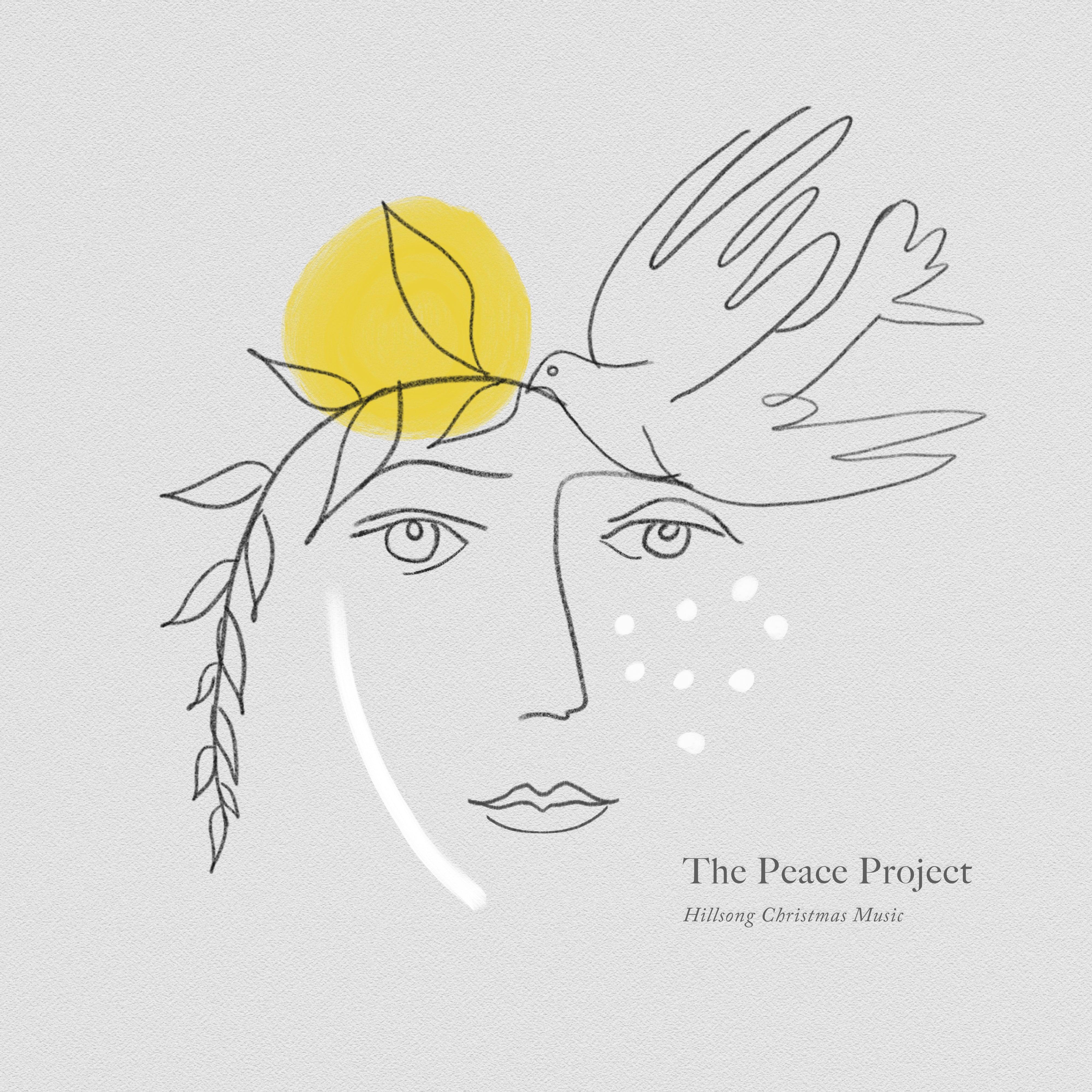 Productafbeelding: voorkant van The peace project
