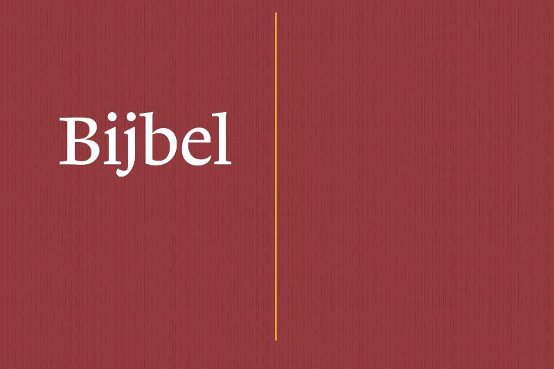 Productafbeelding: voorkant van NBV21 Dwarsligger