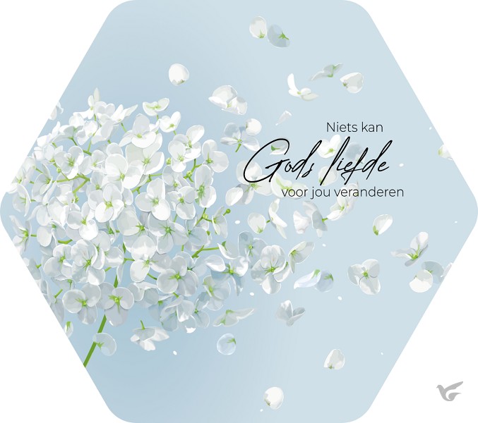 Productafbeelding: voorkant van Niets kan Gods liefde  Maat S 15cm