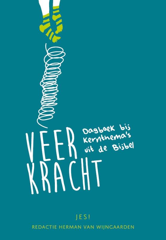 Productafbeelding: voorkant van Veerkracht