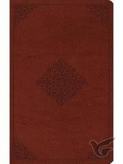 Productafbeelding: voorkant van ESV - LP Value Thinline Bible